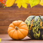 호박즙다이어트 실패하는 패턴 5가지