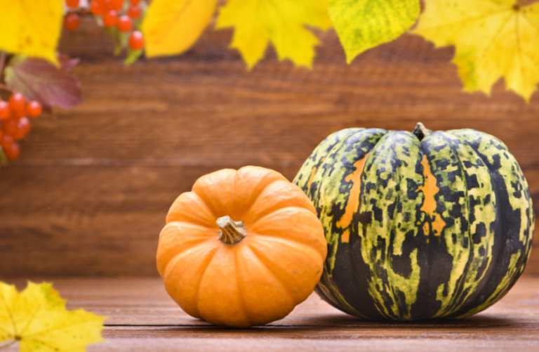 호박즙다이어트 실패하는 패턴 5가지